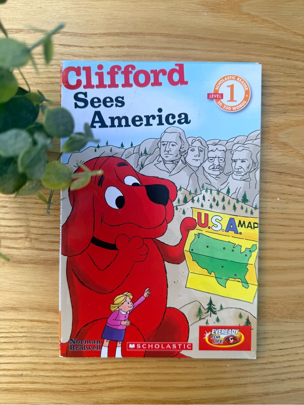 🌿10/$25 • Scholastic Clifford Sees America Easy Reader
